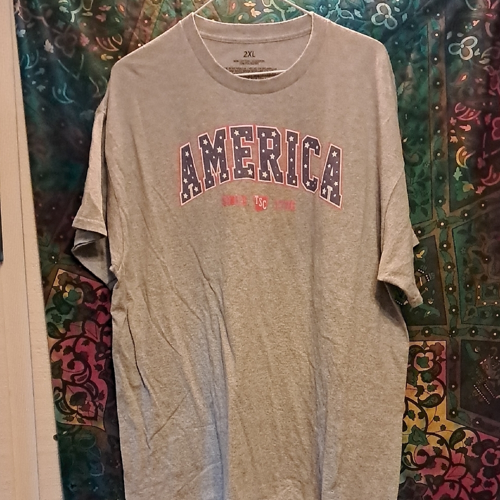 Gray Graphic T-Shirt